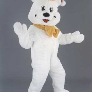 mascot bear mountain.jpg